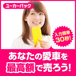 当て逃げがバレたらどうなるの 警察からの連絡は何日後