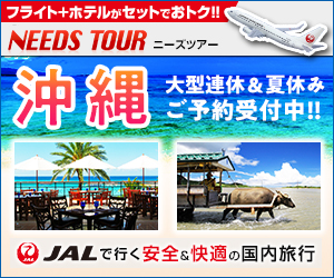 【ニーズツアー】JAL(日本航空）で行く爆安北海道ツアー・沖縄ツアー