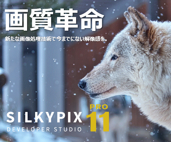 SILKYPIX Developer Studio Pro10公式サイト