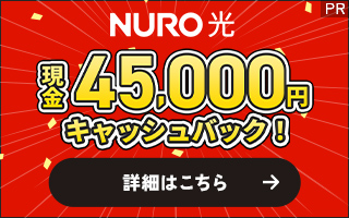 ソニー「NURO光」回線公式サイト
４５０００円キャッシュバック